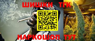молекула духа Будённовск