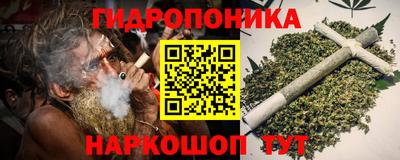 молекула духа Будённовск