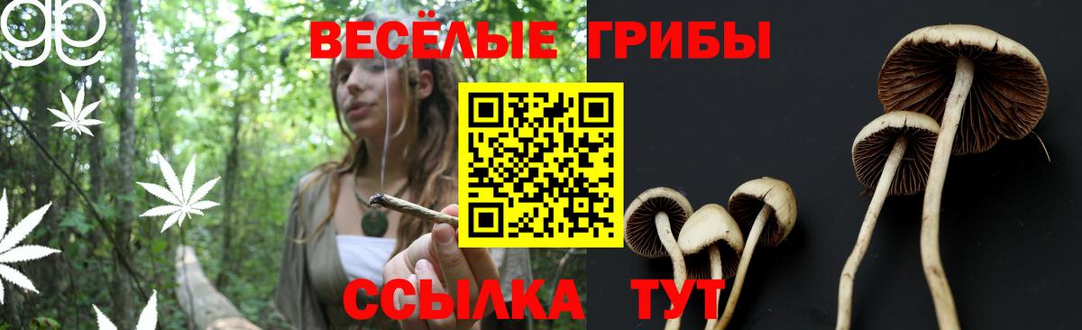 Псилоцибиновые грибы мухоморы  Вход с VPN  Новокубанск 